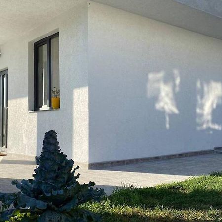 Lola Seaview Guest House. Уютный Домик В Варне Varna Eksteriør billede