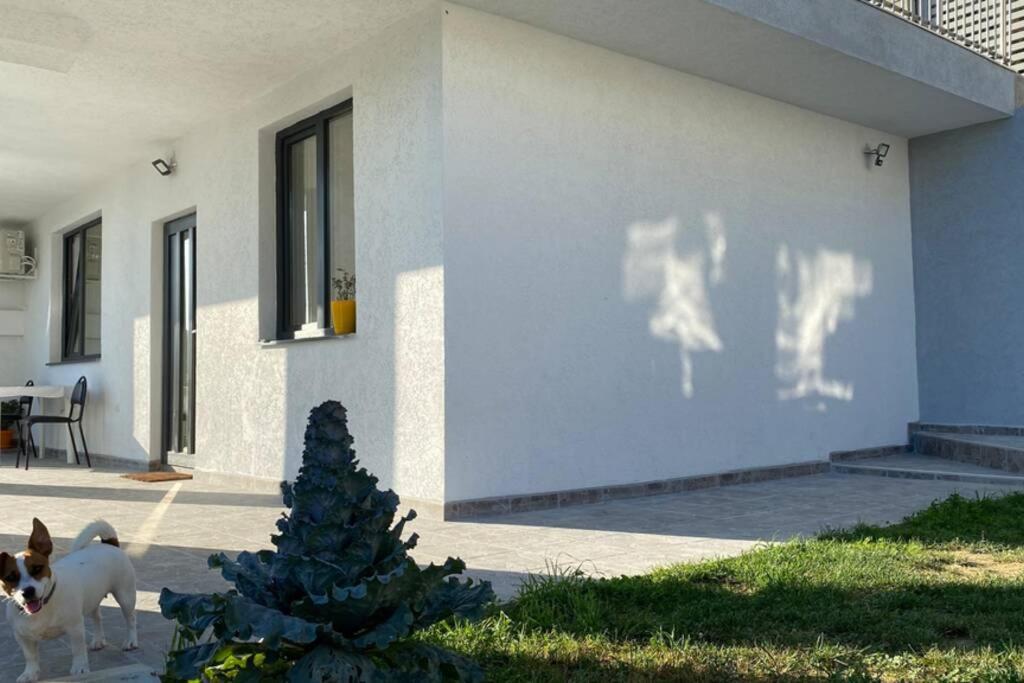 Lola Seaview Guest House. Уютный Домик В Варне Varna Eksteriør billede