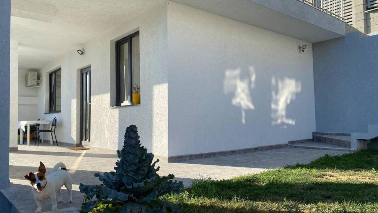 Lola Seaview Guest House. Уютный Домик В Варне Varna Eksteriør billede